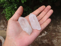 Natural Single Etched Clear Quartz Crystals  x 35 From Mpika, Zambia - Toprock Gemstones and Minerals 