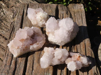 Natural White Cactus Flower Spirit Quartz Specimens  x 4 From Boekenhouthoek, South Africa - Toprock Gemstones and Minerals 