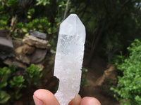 Natural Single Etched Clear Quartz Crystals  x 35 From Mpika, Zambia - Toprock Gemstones and Minerals 