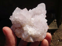 Natural White Cactus Flower Spirit Quartz Specimens  x 4 From Boekenhouthoek, South Africa - Toprock Gemstones and Minerals 