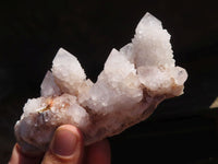 Natural White Cactus Flower Spirit Quartz Specimens  x 4 From Boekenhouthoek, South Africa - Toprock Gemstones and Minerals 