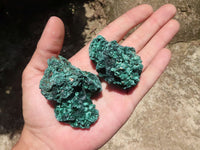 Natural Chatoyant Silky Malachite Specimens  x 12 From Kasompe, Congo - TopRock