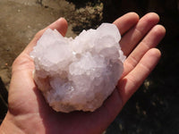 Natural White Cactus Flower Spirit Quartz Specimens  x 4 From Boekenhouthoek, South Africa - Toprock Gemstones and Minerals 