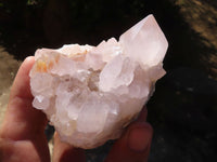 Natural White Cactus Flower Spirit Quartz Specimens  x 4 From Boekenhouthoek, South Africa - Toprock Gemstones and Minerals 