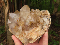 Natural Golden Hematoid Quartz Clusters With Pink/White Phantoms  x 2 From Zimbabwe - TopRock