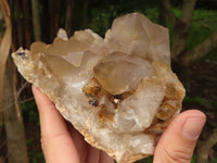 Natural Golden Hematoid Quartz Clusters With Pink/White Phantoms  x 2 From Zimbabwe - TopRock