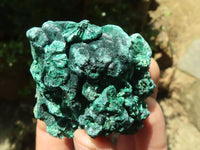 Natural Chatoyant Silky Malachite Specimens  x 12 From Kasompe, Congo - TopRock