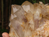 Natural Golden Hematoid Quartz Clusters With Pink/White Phantoms  x 2 From Zimbabwe - TopRock