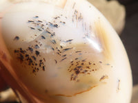 Polished Extra Large Banded Agate Hearts x 2 From Madagascar