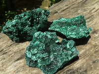 Natural Chatoyant Silky Malachite Specimens  x 12 From Kasompe, Congo - TopRock