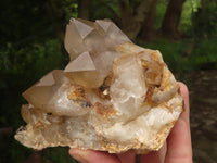 Natural Golden Hematoid Quartz Clusters With Pink/White Phantoms  x 2 From Zimbabwe - TopRock