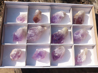 Natural Jacaranda Amethyst Crystals  x 12 From Mumbwa, Zambia - Toprock Gemstones and Minerals 