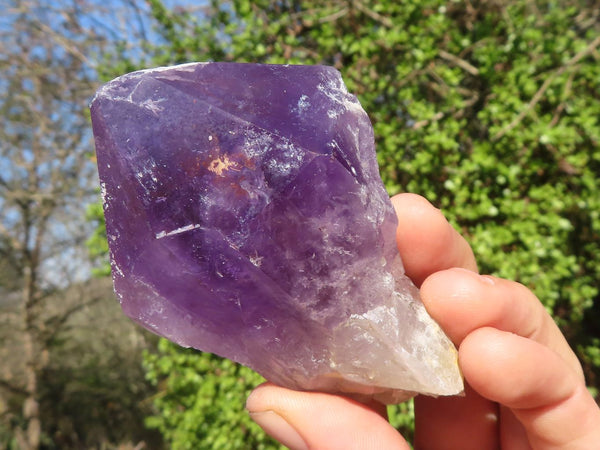 Natural Jacaranda Amethyst Crystals  x 12 From Mumbwa, Zambia - Toprock Gemstones and Minerals 