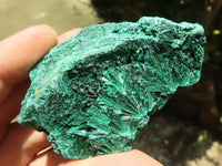 Natural Chatoyant Silky Malachite Specimens  x 12 From Kasompe, Congo - TopRock