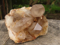 Natural Golden Hematoid Quartz Clusters With Pink/White Phantoms  x 2 From Zimbabwe - TopRock