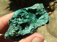 Natural Chatoyant Silky Malachite Specimens  x 12 From Kasompe, Congo - TopRock