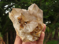 Natural Golden Hematoid Quartz Clusters With Pink/White Phantoms  x 2 From Zimbabwe - TopRock