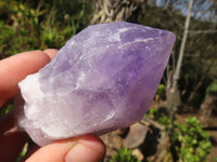 Natural Jacaranda Amethyst Crystals  x 12 From Mumbwa, Zambia - Toprock Gemstones and Minerals 