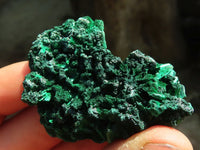 Natural Chatoyant Silky Malachite Specimens  x 20 From Kasompe, Congo - Toprock Gemstones and Minerals 