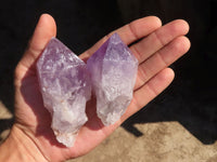 Natural Jacaranda Amethyst Crystals  x 12 From Mumbwa, Zambia - Toprock Gemstones and Minerals 