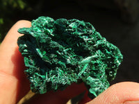 Natural Chatoyant Silky Malachite Specimens  x 20 From Kasompe, Congo - Toprock Gemstones and Minerals 