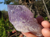 Natural Jacaranda Amethyst Crystals  x 12 From Mumbwa, Zambia - Toprock Gemstones and Minerals 