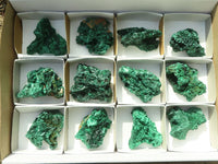 Natural Chatoyant Silky Malachite Specimens  x 12 From Kasompe, Congo - Toprock Gemstones and Minerals 