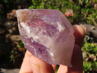 Natural Jacaranda Amethyst Crystals  x 12 From Mumbwa, Zambia - Toprock Gemstones and Minerals 