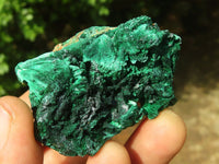 Natural Chatoyant Silky Malachite Specimens  x 12 From Kasompe, Congo - Toprock Gemstones and Minerals 