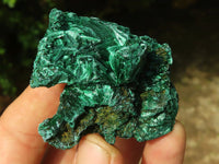 Natural Chatoyant Silky Malachite Specimens  x 12 From Kasompe, Congo - Toprock Gemstones and Minerals 