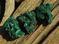 Natural Chatoyant Silky Malachite Specimens  x 20 From Kasompe, Congo - Toprock Gemstones and Minerals 