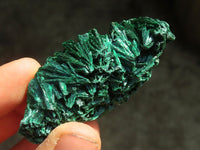 Natural Chatoyant Silky Malachite Specimens  x 20 From Kasompe, Congo - Toprock Gemstones and Minerals 