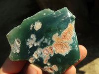 Polished Green Mtorolite Free Form Plates  x 12 From Zimbabwe - Toprock Gemstones and Minerals 