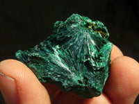 Natural Chatoyant Silky Malachite Specimens  x 20 From Kasompe, Congo - Toprock Gemstones and Minerals 