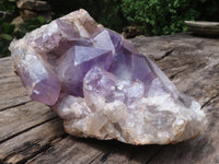 Natural Jacaranda Amethyst Cluster  x 1 From Mumbwa, Zambia - TopRock