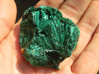 Natural Chatoyant Silky Malachite Specimens  x 20 From Kasompe, Congo - Toprock Gemstones and Minerals 