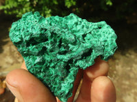 Natural Chatoyant Silky Malachite Specimens  x 12 From Kasompe, Congo - Toprock Gemstones and Minerals 