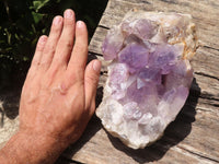 Natural Jacaranda Amethyst Cluster  x 1 From Mumbwa, Zambia - TopRock