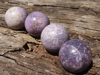 Polished Purple Lepidolite Spheres  x 4 From Zimbabwe - TopRock