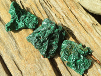 Natural Chatoyant Silky Malachite Specimens  x 12 From Kasompe, Congo - Toprock Gemstones and Minerals 