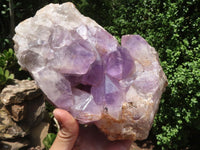 Natural Jacaranda Amethyst Cluster  x 1 From Mumbwa, Zambia - TopRock