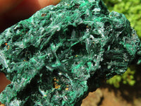 Natural Chatoyant Silky Malachite Specimens  x 12 From Kasompe, Congo - Toprock Gemstones and Minerals 