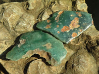 Polished Green Mtorolite Free Form Plates  x 12 From Zimbabwe - Toprock Gemstones and Minerals 