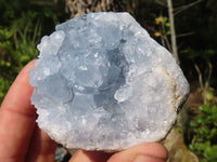 Natural Blue Celestite Crystal Specimens  x 4 From Sakoany, Madagascar - Toprock Gemstones and Minerals 