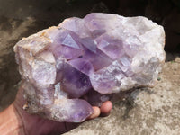 Natural Jacaranda Amethyst Cluster  x 1 From Mumbwa, Zambia - TopRock