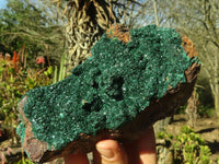 Natural Stunning Crystalline Malachite Specimens  x 2 From Congo