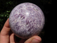 Polished Purple Lepidolite Spheres  x 4 From Zimbabwe - TopRock