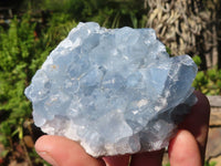 Natural Blue Celestite Crystal Specimens  x 4 From Sakoany, Madagascar - Toprock Gemstones and Minerals 