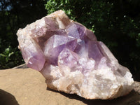 Natural Jacaranda Amethyst Cluster  x 1 From Mumbwa, Zambia - TopRock