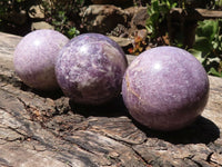 Polished Purple Lepidolite Spheres  x 4 From Zimbabwe - TopRock